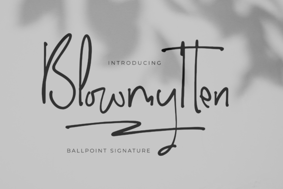 Blowmytten Font for Elegant Web Design