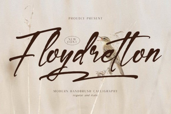 Floydretton: The Modern Handbrush Font for Brands