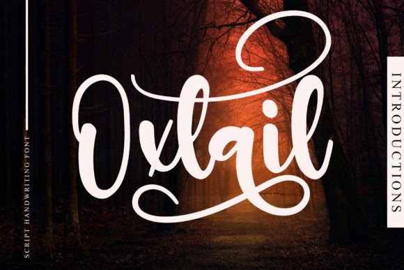 Using Oxtail Font for Elegant Web Design Projects